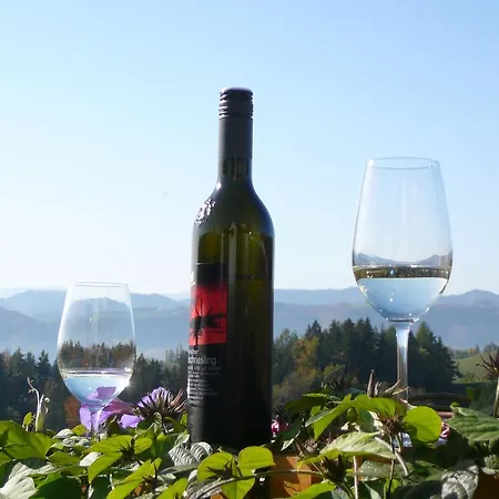 Weingut Adam Amandus Und Carmen Bed & Breakfast Leutschach
