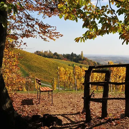 Weingut Adam Amandus Und Carmen Bed & Breakfast 3*