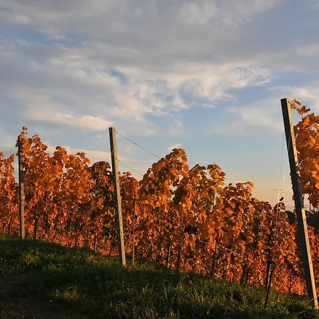 Weingut Adam Amandus Und Carmen