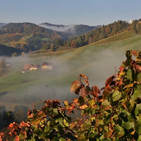 Weingut Adam Amandus Und Carmen 3*