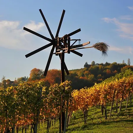Weingut Adam Amandus Und Carmen Oda ve Kahvaltı 3*