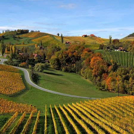 Weingut Adam Amandus Und Carmen Oda ve Kahvaltı 3*