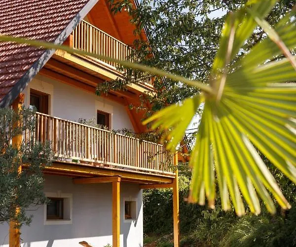 Weingut Adam Amandus Und Carmen 里欧查赫