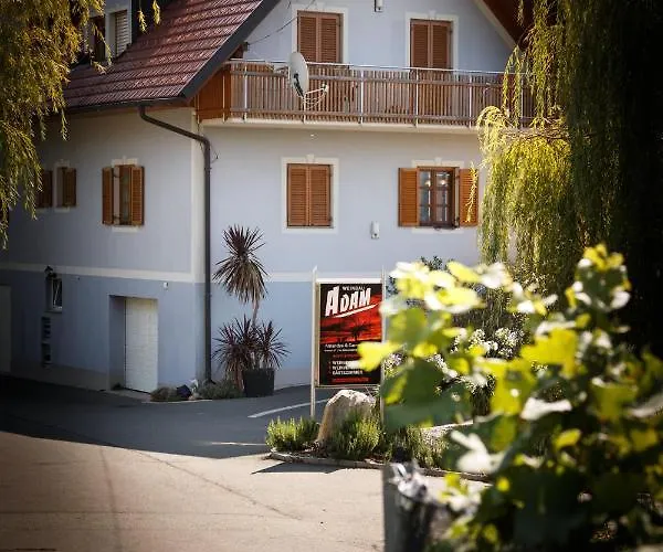 Weingut Adam Amandus Und Carmen