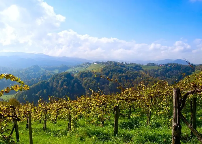 Weingut Adam Amandus Und Carmen 里欧查赫
