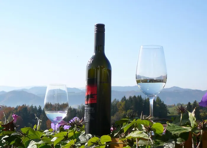 Weingut Adam Amandus Und Carmen 住宿加早餐酒店 里欧查赫