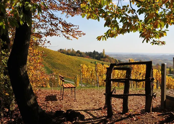 Weingut Adam Amandus Und Carmen 住宿加早餐酒店 3*