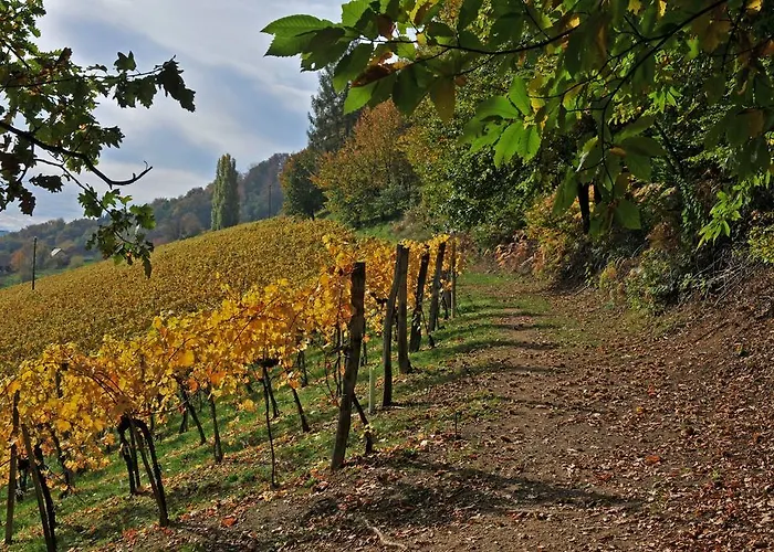 住宿加早餐酒店 Weingut Adam Amandus Und Carmen